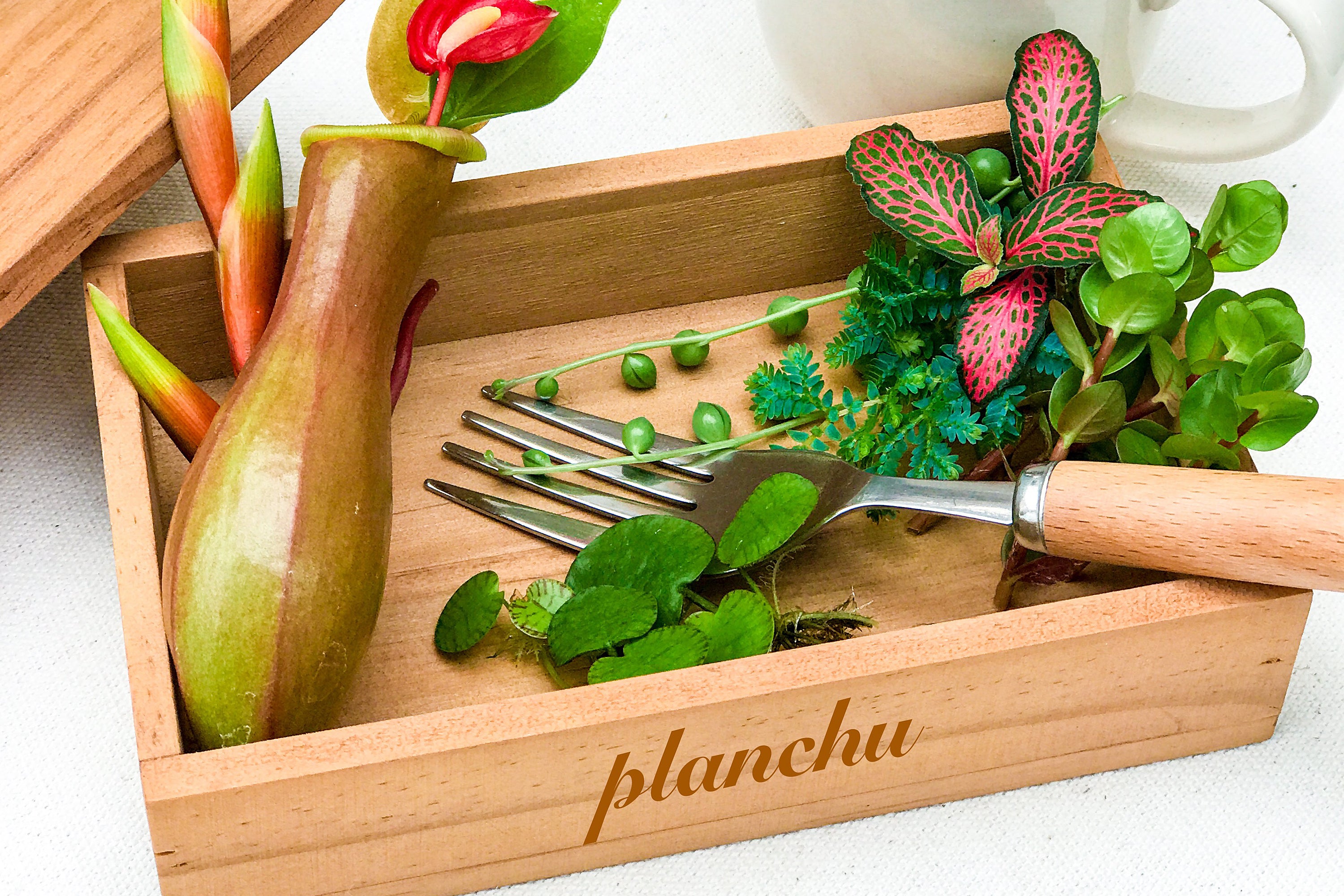 56f6099ebfa8fd6dbef78d659c7c0f