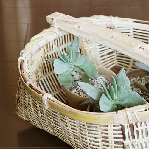 楽天市場】【松野屋 肥料振かご 中】カゴ 籠 手しごと 民芸 日本 竹