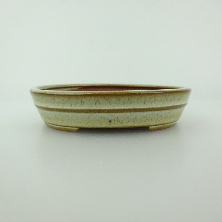 楽天市場】月香 盆栽鉢の通販