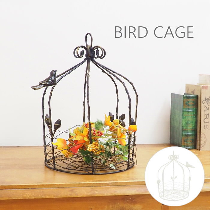 楽天市場】【あす楽】 鳥かご風 アイアンバードガゼボ クリーム 6624