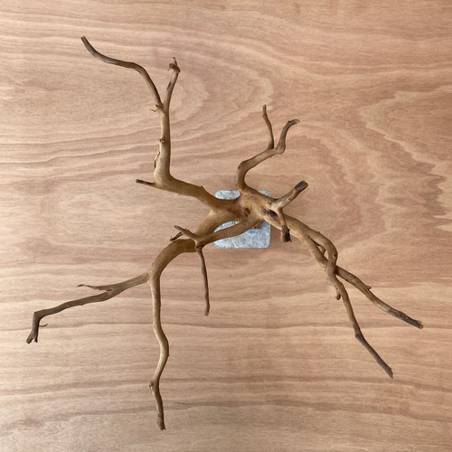 コンクリート盆栽 (mini tree b-2) 流木 オブジェ ディスプレイ 高級感