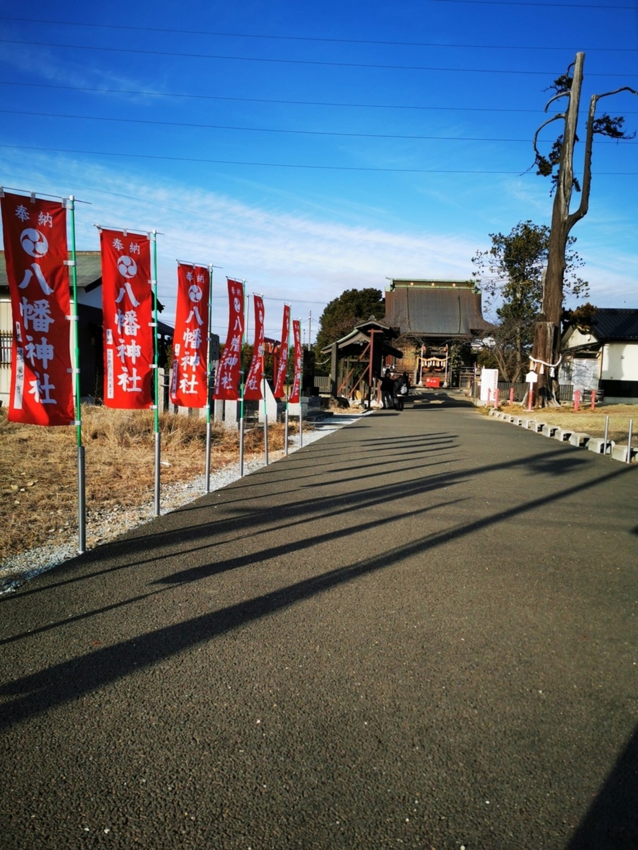 あ け ま し た 2024年 - クッソ汚い絵描きのブログ