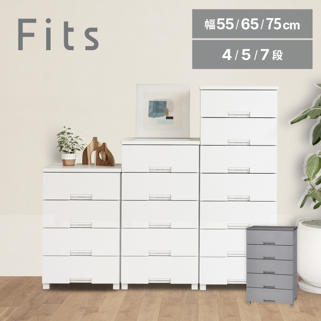 フィッツチェスト テンマフィッツワールド