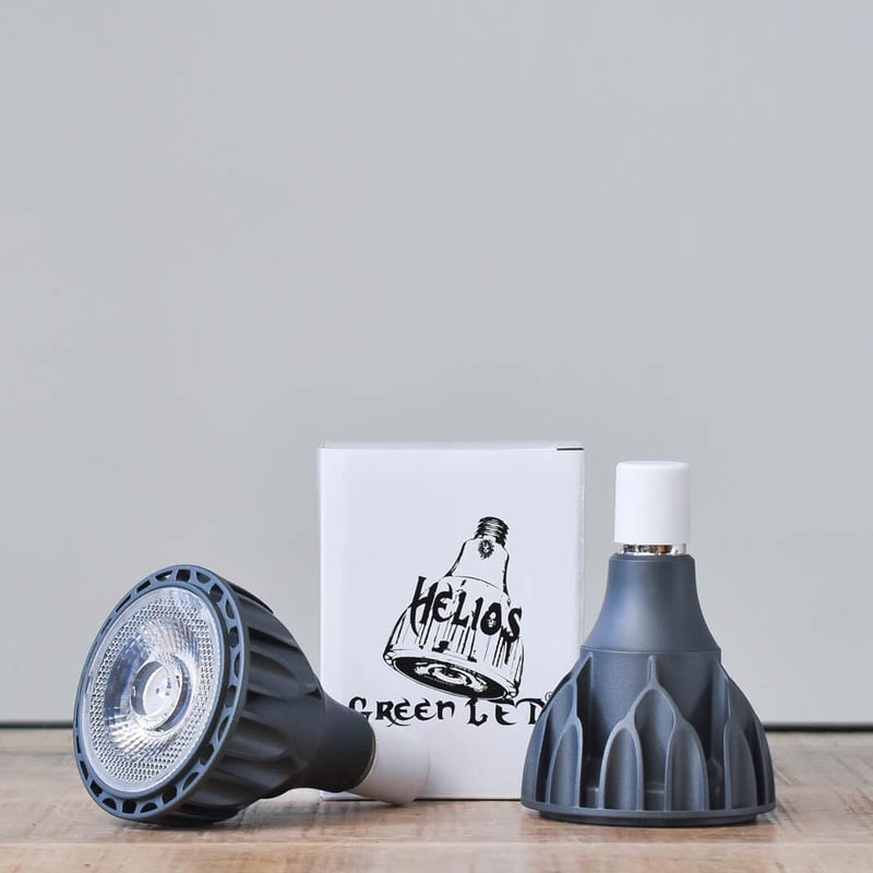 HeliosGreen LED 2個セット (グラキリス チタノタ HeliosGreen LED 2個