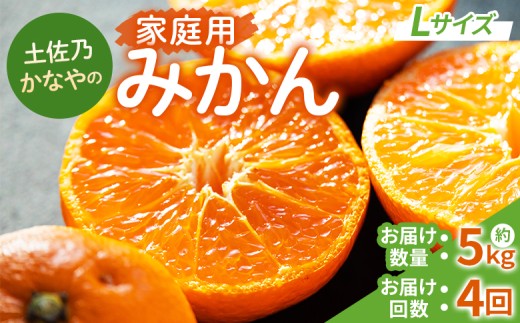 令和8年10月下旬発送開始】みかん 小玉 3kg【ブランドみかん】 糖度