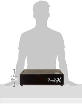 Amazon.com: Meinl Pickup Bassbox with L-Shaped Soft Foam Beater