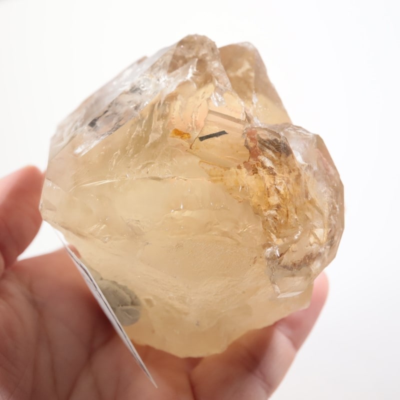 9_000000008123.jpg?1726139265