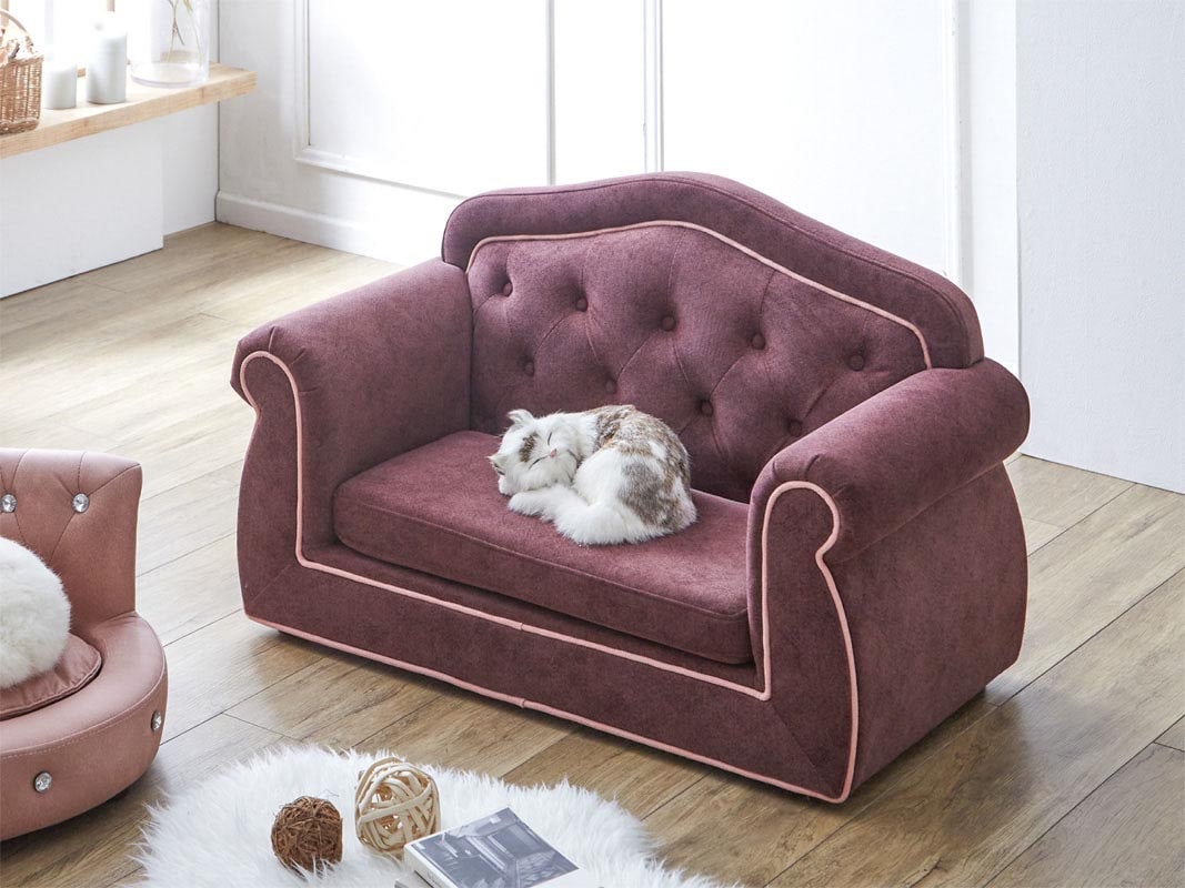 チェスターフィールドソファーを彷彿とさせる姫系ゴージャスなペット