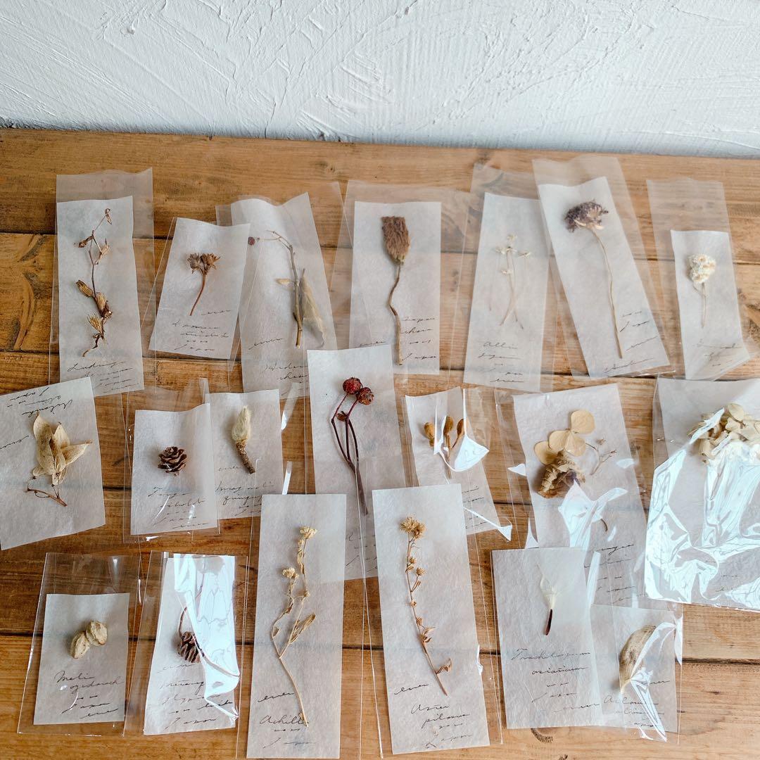 【匿名配送】errerエレー ドライフラワー標本20個セット ドライフラワー ドライフラワー3種セット オトナアンティークカラー